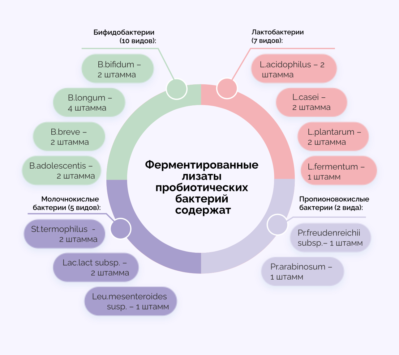 veda BIOTICA, фитолизат бронхо, 30 мл