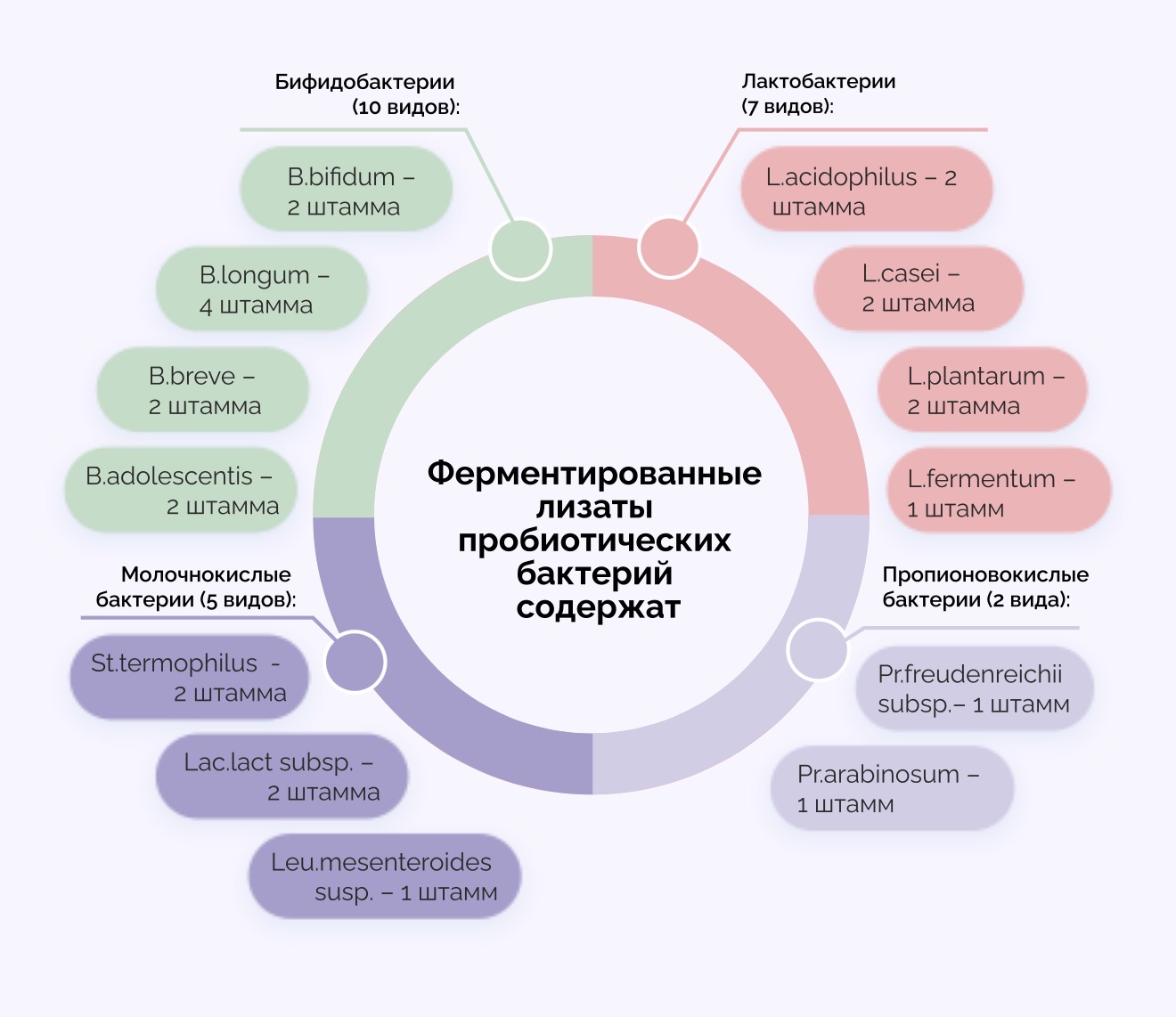 VEDABIOTICA, Фитолизат Долголетие, 100 мл