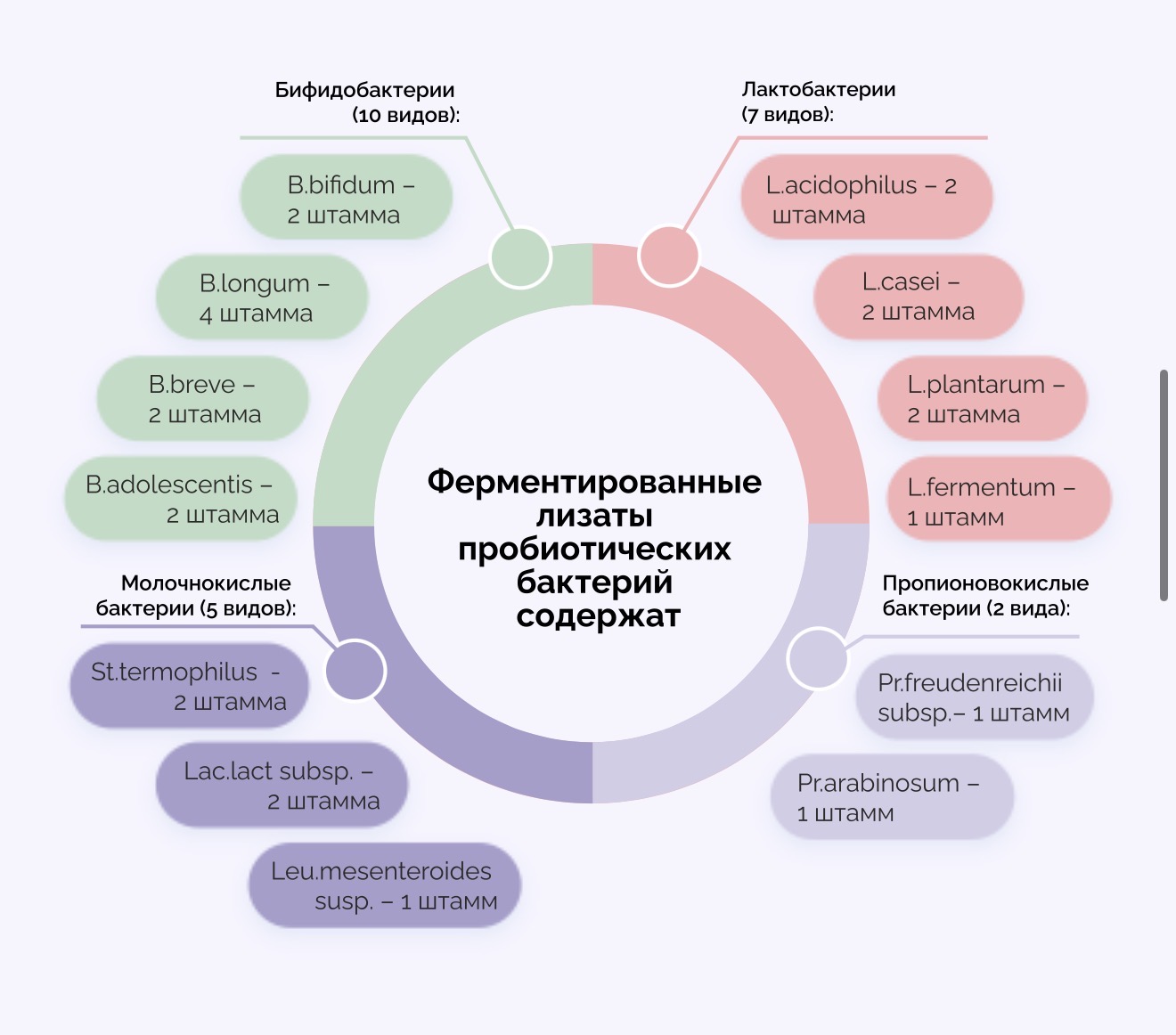 VEDABIOTICA, Фитолизат Детокс, 100 мл