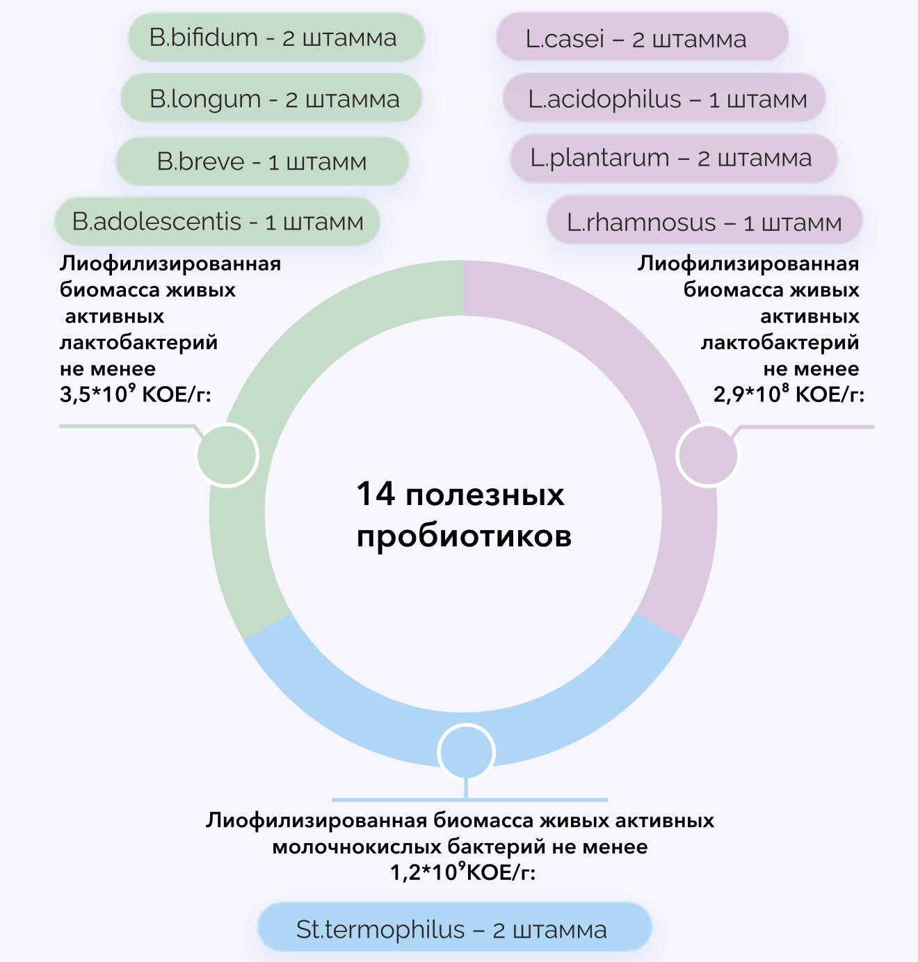 VEDABIOTICA, ВЕДАБИОТИК, Пробиотик нового поколения, 30 капсул