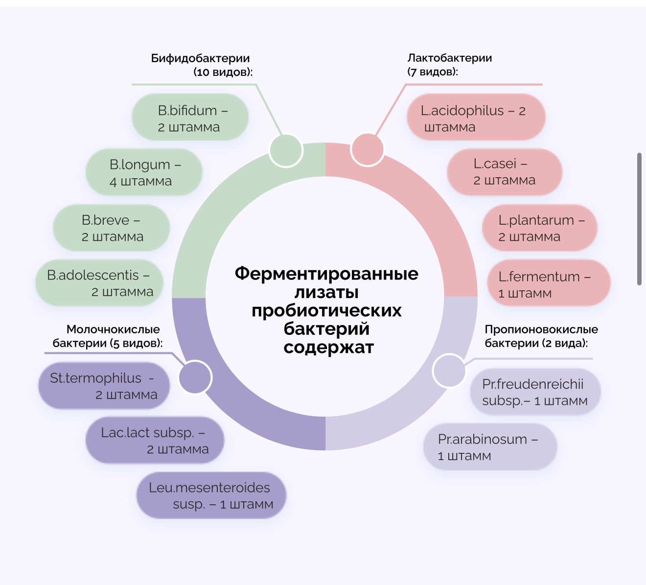 VEDABIOTICA, ИММУНОБИОТИК ЭКСТРА, Пробиотик нового поколения для укрепления иммунитета, 30 капсул