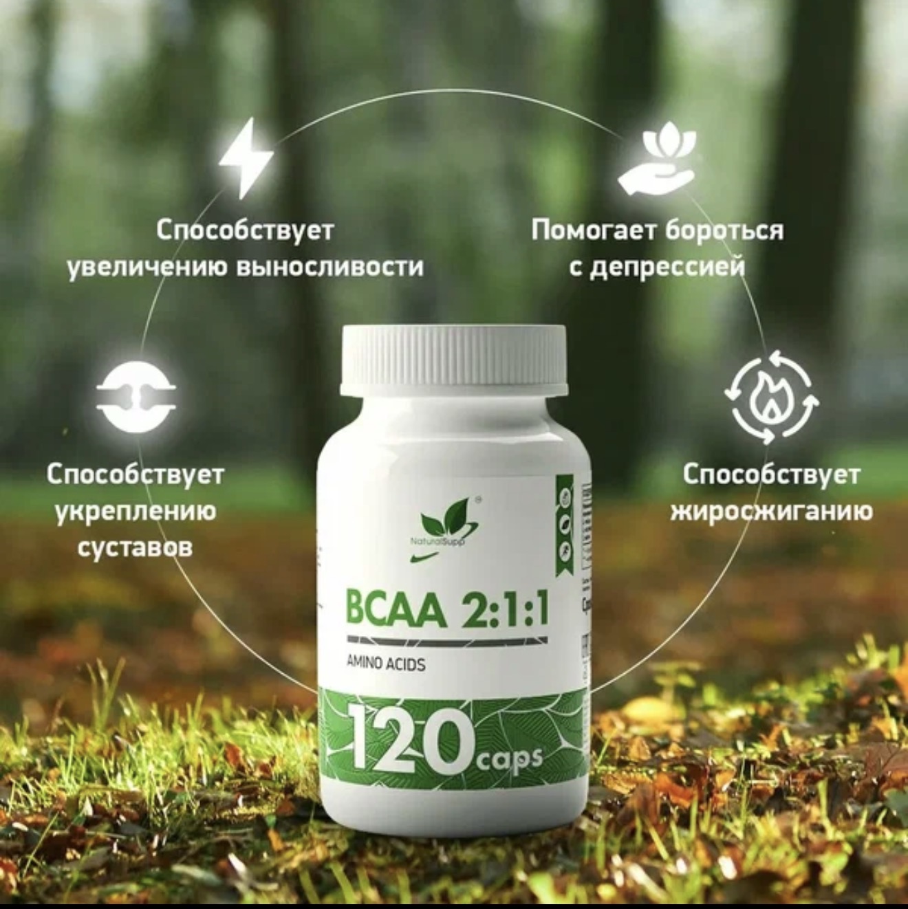 NATURAL SUPP, BCAA,  БЦАА, 2:1:1, 120 капсул